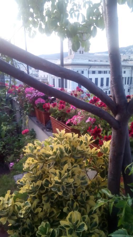 Bed And Breakfast " La Terrazza" Genua Buitenkant foto